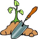 plant1 (13K)